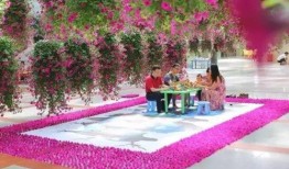 天上花园在线观看,揭秘“天上花园”在线观看之旅